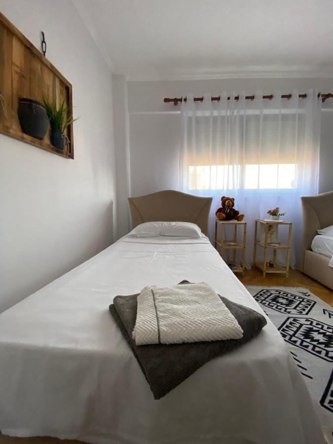Entire Serviced Apartment With A Beautiful View 티라나 외부 사진
